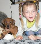 rhod�sk� ridgeback �t�n�