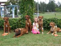 sme�ka Wandellmer�ck�