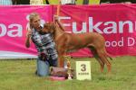Rhod�sk� ridgeback Farao Keoni Wandellmere