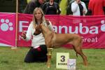 Rhod�sk� ridgeback Egeria Happy Angel Wandellmere 